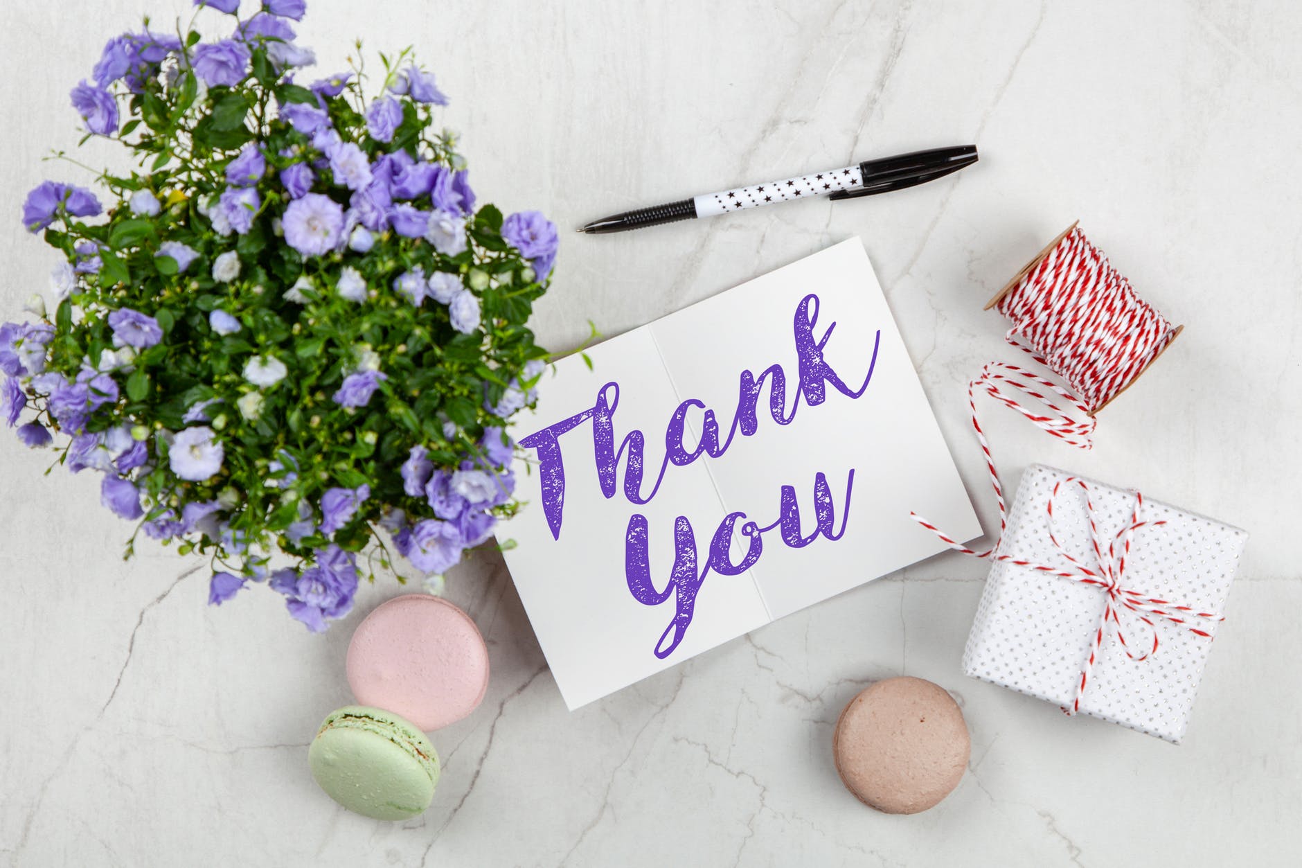 purple petaled flower and thank you card