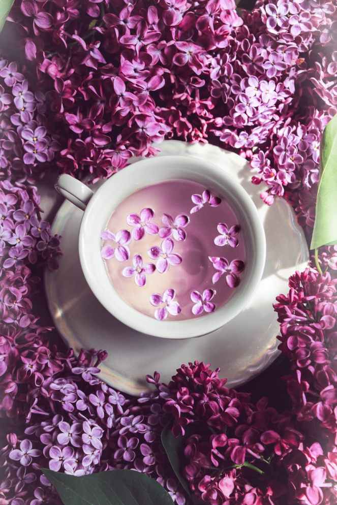 flowers purple drink leaf